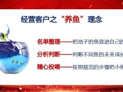 保险精英分享坚持4个1经营电话约访四次面访服务穿插23页.pptx