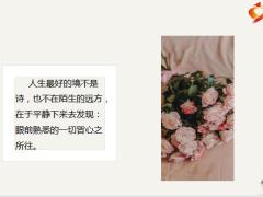 每日鸡汤励志人生生活细碎万物成诗今晚月亮分你一半.zip