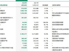 中国人寿2022年半年度报告119页.pdf