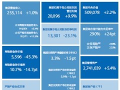 中国太保2022年半年度报告209页.pdf