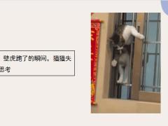 每日快乐早会22年9月23日使用12页.pptx