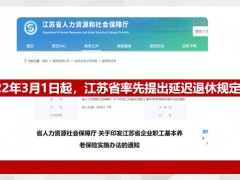 陆家嘴国泰人寿延迟退休的最新资讯大背景当下形势应对策略24页.pptx