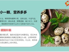 每日健康比鸡蛋补人比核桃健脑补遍全身12页.pptx