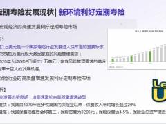 定期寿险发展现状消费者分析发展未来可期销售应用28页.pptx