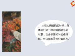 每日鸡汤励志人生你要相信心有所期全力以赴定有所成.zip