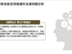 保险业务员违规操作法律问题分析常见案例资产保全功能39页.pptx