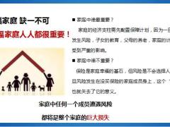 家庭保单销售技巧分享销售逻辑销售案例冲刺措施目标30页.pptx