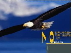 2022四季度客经渠道11月增员业务方案启动会流程81页.pptx