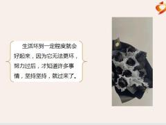 每日鸡汤励志人生先变成更喜欢的自己然后遇到一个不需要取悦的人.zip