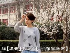 视频晨操凤凰于飞高清版.zip