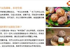 每日健康吃5斤红薯不如吃1斤芋头强免疫通血脉养脾胃长寿11页.pptx