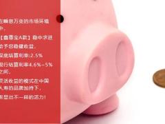国寿鑫享未来鑫尊宝A账户组合利益宣导12页.pptx