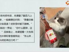 每日快乐早会22年10月10日使用12页.pptx