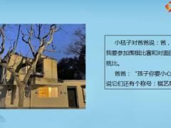 每日快乐早会22年10月11日使用12页.pptx