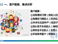 太平岁有余庆四步客户画像痛点分析理念导入产品计划讲解促成异议处理18页.pptx