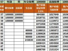 中国人寿鑫享未来A账户乐鑫版自动计划书.xlsx