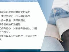 保险新人筛选客户准客户进行分级管理维护关系20页.pptx