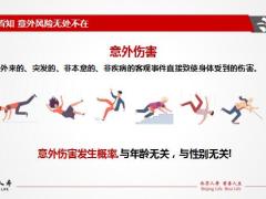 北京人寿意外险意义作用综合意外老年人意外在售意外保障计划66页.pptx