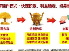 新华惠金享压岁钱如何规划买年金的好处买什么年金销售逻辑28页.pptx