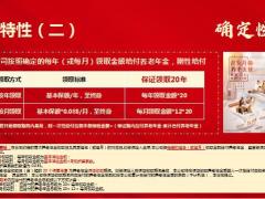 新华惠满金生养老年金保险保险责任核保规则三大特性三大优势案例演示21页.pptx