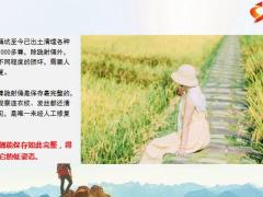 正能量真正优秀的人都没把自己太当回事19页.pptx