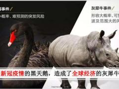 财富资产理财专题不确定时代确定的人生24页.pdf