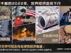 经济下行趋势下家庭财富的变化家庭收入降支出升理财专题24页.pptx