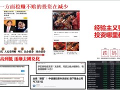 中国人寿3060项目投资理财项目发布含备注28页.pptx