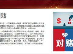 从小马奔腾案看企业家配偶之痛利用保险做好资产债务隔离26页.pptx