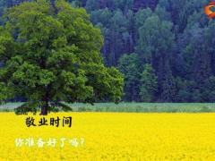 保险公司秋天枫叶草坪早会流程10页.pptx
