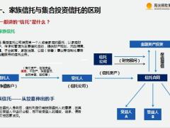 阳光人寿保险金信托服务中的关键问题解析30页.pptx