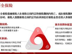 新华康乐无忧两全保险产品背景亮点福利队伍宣传片31页.pptx