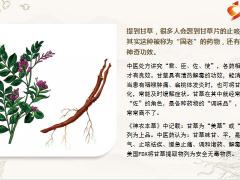 每日健康一味本草可解1200种草药毒性被称为解毒之王11页.pptx