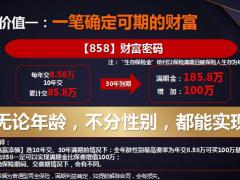 泰康添福壹号四大价值账户回顾运作原理产品组合解析29页.pptx