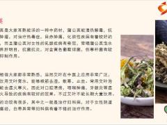 每日健康中医养生除了枸杞黄芪不要忘了它清热解毒降三高6页.pptx