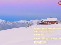 保险公司希望气球庆生早会流程15页.pptx