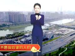 视频晨操义勇军进行曲手语.zip