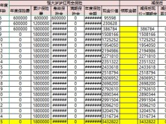 恒大人寿岁岁红两全保险自动计划书.xlsx