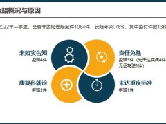 季度拒赔概况常见拒付原因拒付案例分享保险理赔贴士20页.pptx