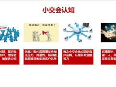 小交会认知及收获要点及动作后续衔接转化双蓄小交会串讲40页.pptx