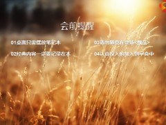 秋天麦穗黄色早会流程模板12页.pptx