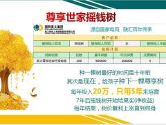 英大泰和尊享亮点客户群体异议处理17页.pptx
