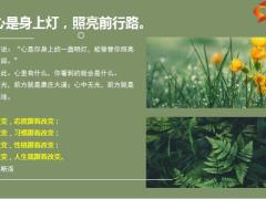正能量做个内心有光的人不乱于心不困于情不缠于物14页.pptx