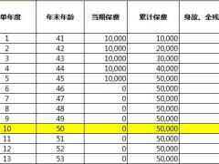 中荷爱家保利益演示自动计划书.xlsx