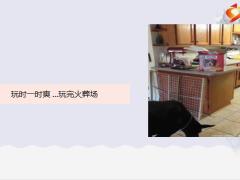 每日快乐早会22年11月3日使用12页.pptx