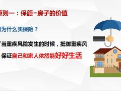 保险新人培训办保险的两大顺序三大原则29页.pptx