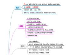 医疗保险思维脑图概况作用特点分类1页.pdf