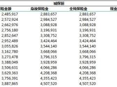 中意永续我爱庆典版自动计划书.xlsx
