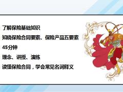 如何看懂保险合同产品五要素常用保险名词解释38页.pptx