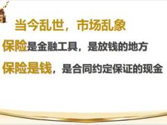 富德生命传世金尊增额终身寿销售逻辑机制功能含备注28页.pptx